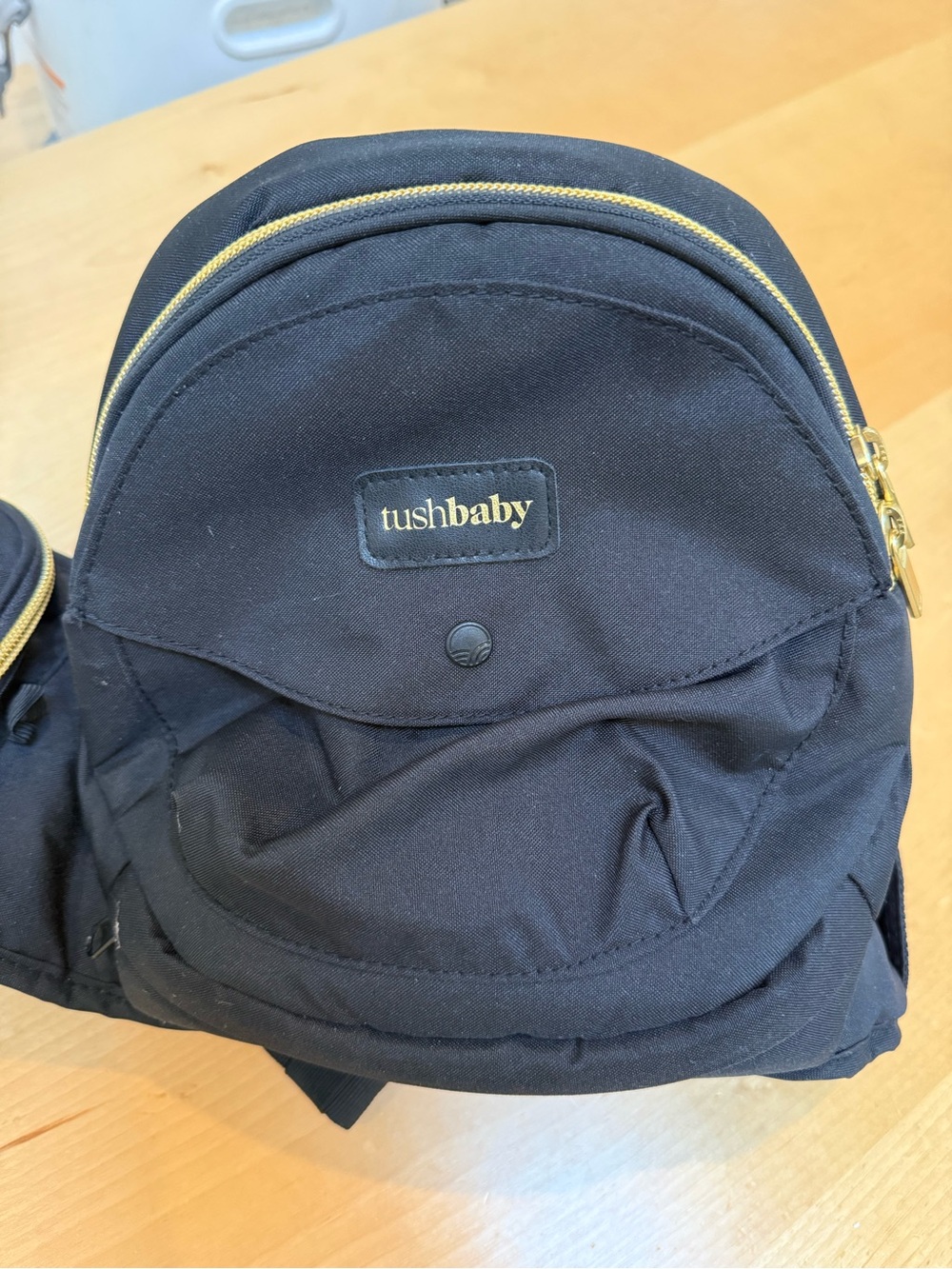 Tushbaby Black Hip Carrier